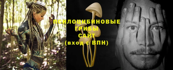 марки lsd Елабуга